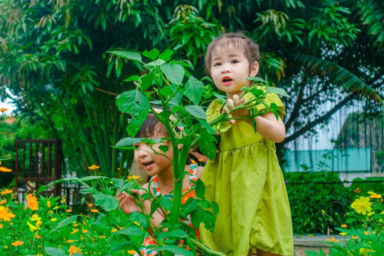 Ninh Binh Mountain Side Homestay & Cafe 外观 照片
