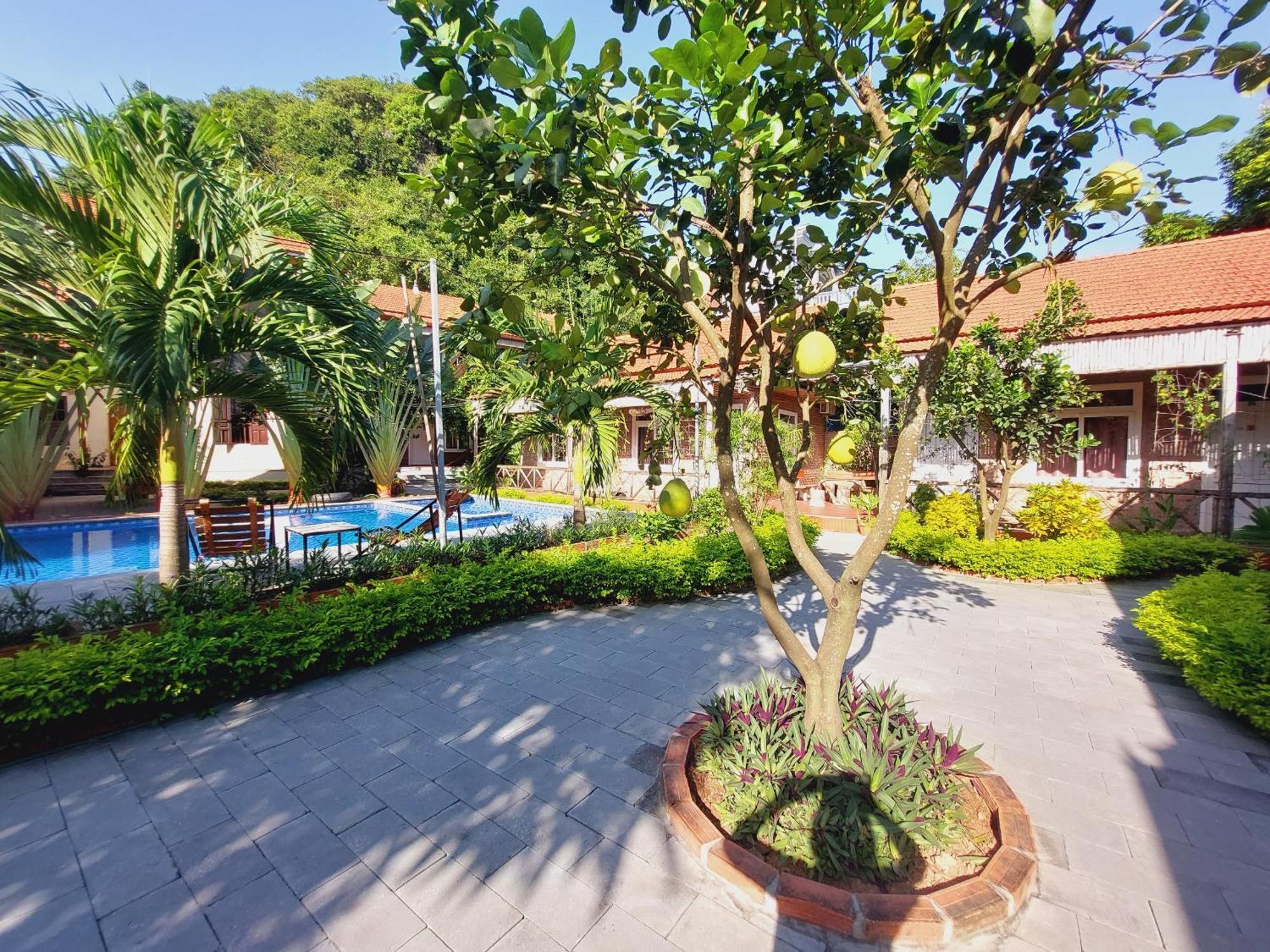 Ninh Binh Mountain Side Homestay & Cafe 外观 照片