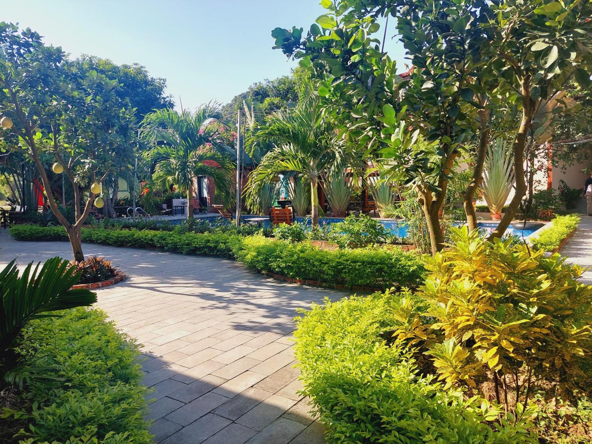 Ninh Binh Mountain Side Homestay & Cafe 外观 照片